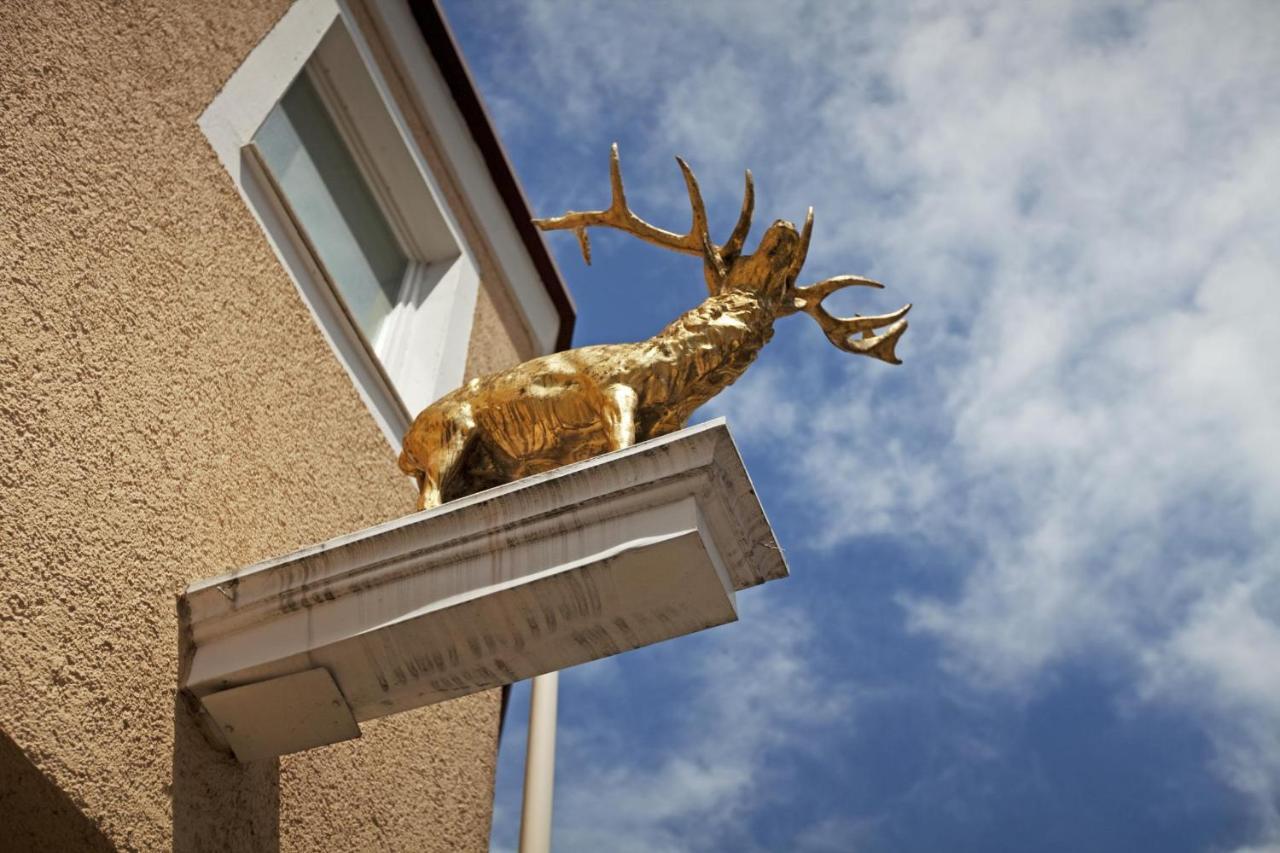 Hotel Hirsch Leonberg Zewnętrze zdjęcie